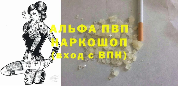 гашик Зеленокумск